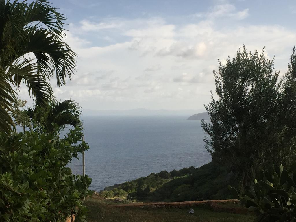 El Monte Azul Bed and Breakfast Las Galeras Esterno foto